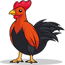 ayam